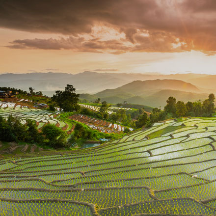 Discover Sapa